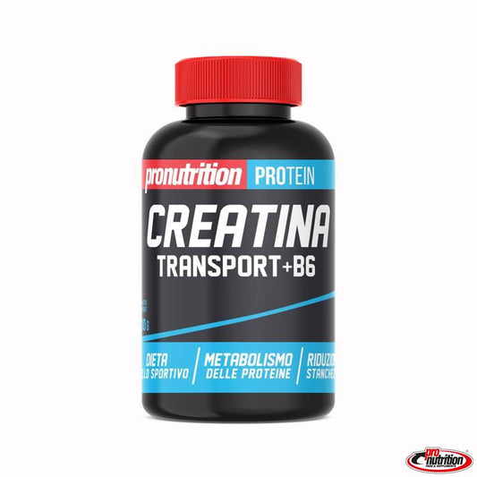 CREATINA TRANSPORT 1000